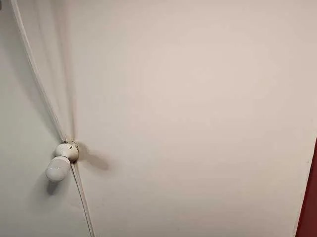 MegganSylph on BongaCams 